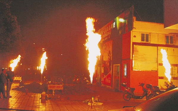 2006.2